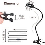 Bekada LED Desk Light with Clamp for Video Conference Lighting, Clip on LED Ring Light for Computer Webcam, USB Laptop Light for Zoom Meetings, Reading Light with 3 Color 10 Dimming Level