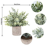 Der Rose 3 Pack Mini Potted Fake Plants Artificial Plastic Eucalyptus Plants for Home Office Desk Room Decoration