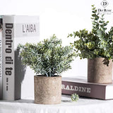 Der Rose 3 Pack Mini Potted Fake Plants Artificial Plastic Eucalyptus Plants for Home Office Desk Room Decoration