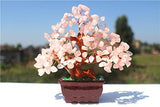 Parma77 Feng Shui Natural Rose Pink Quartz Crystal Money Tree Bonsai Style Decoration for Wealth and Luck