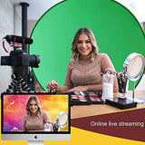 CoosBonfik Portable Green Screen Backdrop (56''), Collapsible Webcam Background, Green Screen for Chair, Chroma Key Green, for Home Office Video Conferencing