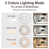 Bekada LED Desk Light with Clamp for Video Conference Lighting, Clip on LED Ring Light for Computer Webcam, USB Laptop Light for Zoom Meetings, Reading Light with 3 Color 10 Dimming Level